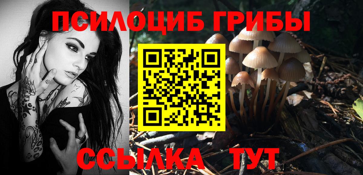 Киров  Галлюциногенные грибы Cubensis  Вход с VPN 